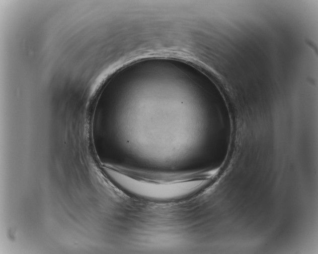 X0000099491506200806051046