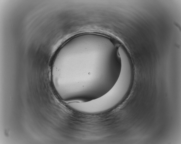 X0000099491509200806051046