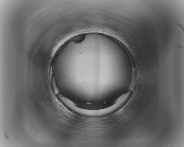 X0000099491510200806051046