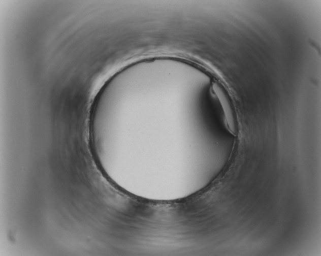 X0000099491512200806051046