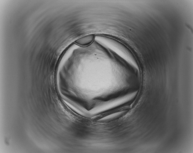 X0000099491513200806051046