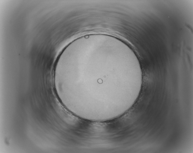 X0000099491514200806051046