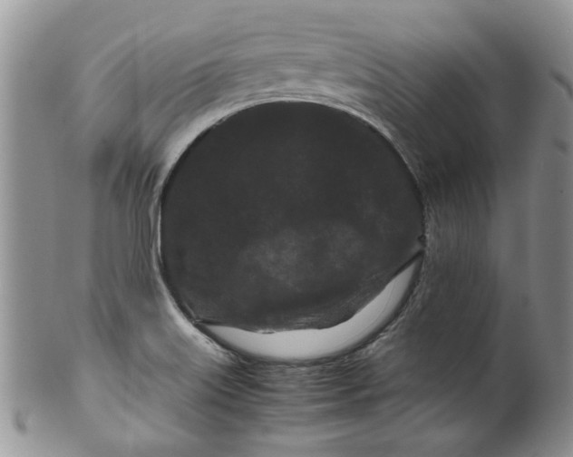 X0000099491515200806051046