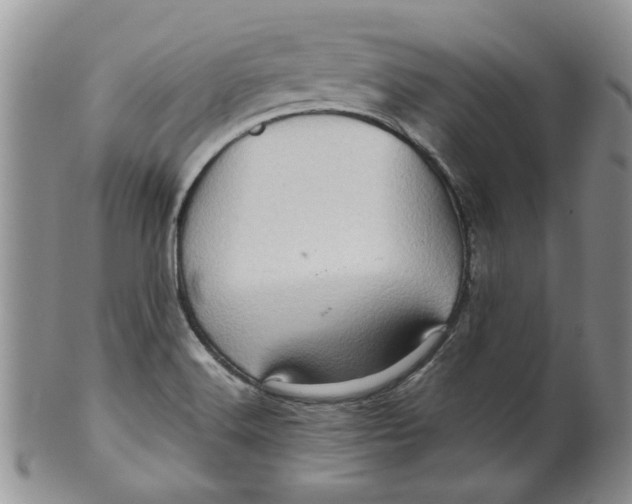 X0000099491516200806051046