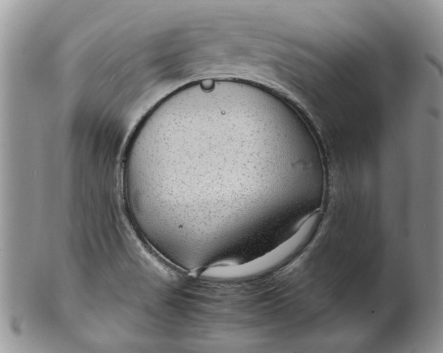 X0000099491517200806051046