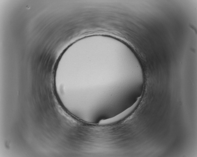 X0000099491518200806051047