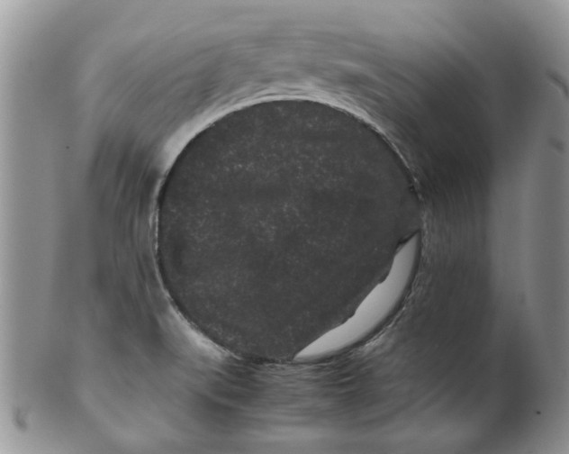 X0000099491519200806051047