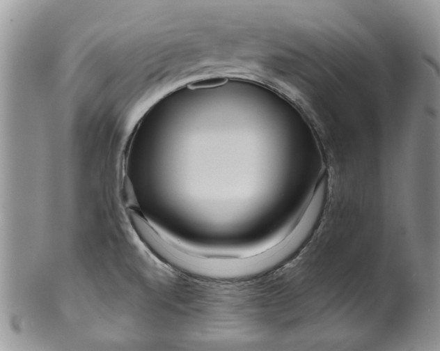 X0000099491520200806051047