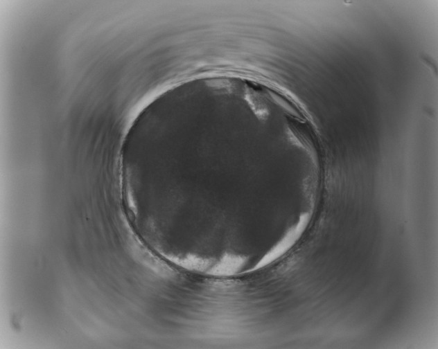 X0000099491522200806051047