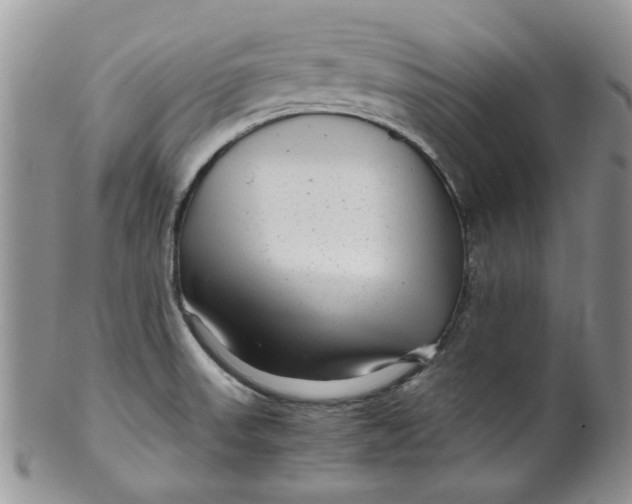 X0000099491523200806051047