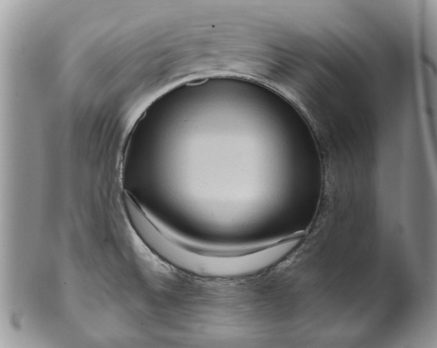 X0000099491524200806051047