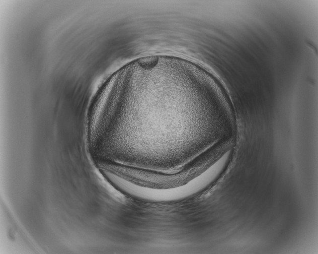 X0000099491525200806051047