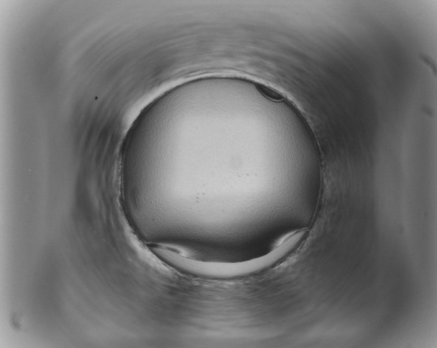 X0000099491526200806051047