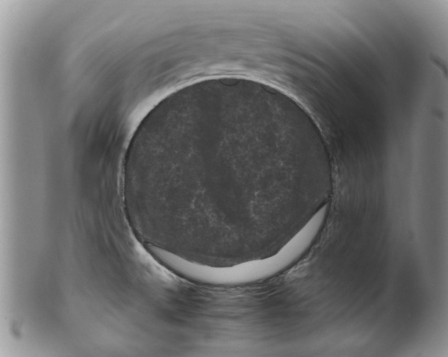 X0000099491527200806051047