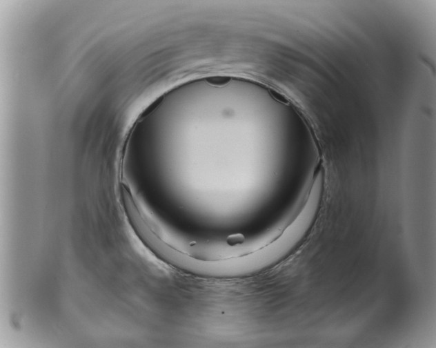 X0000099491528200806051047