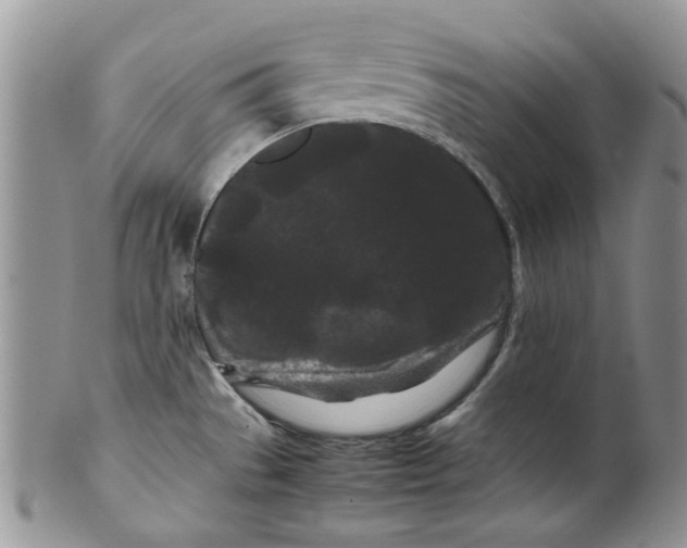 X0000099491529200806051047