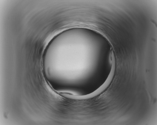 X0000099491531200806051047