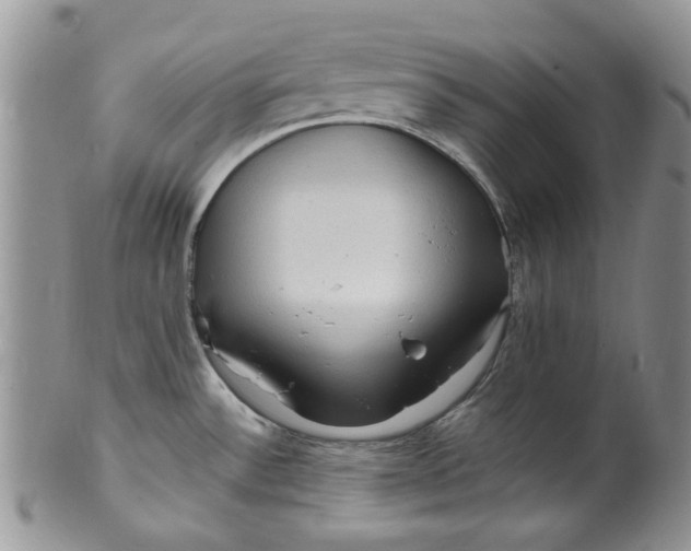 X0000099491532200806051047