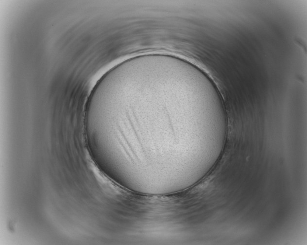 X0000099491534200806051047