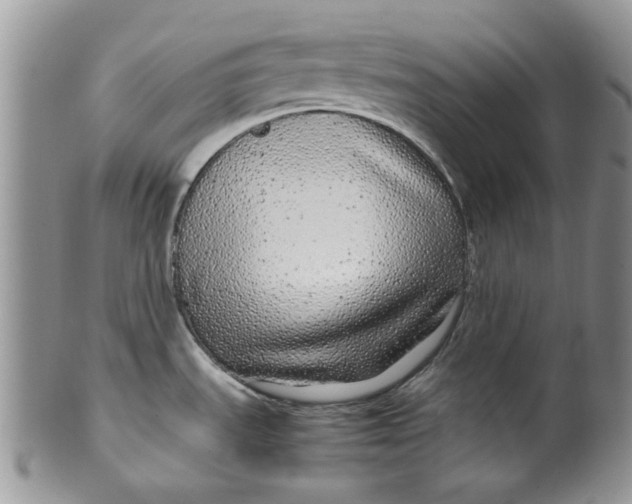 X0000099491535200806051047