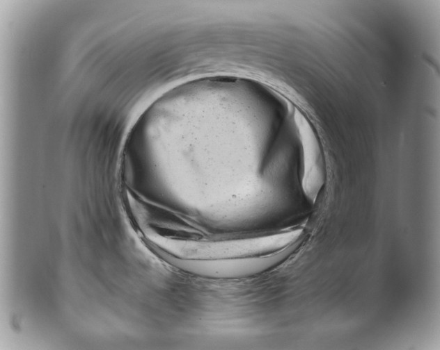 X0000099491536200806051047