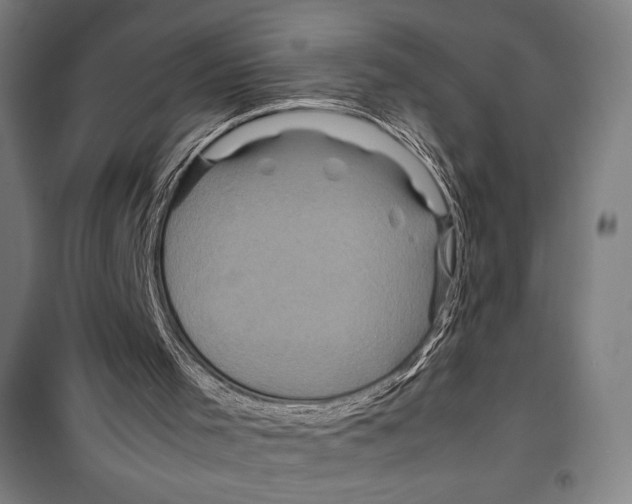 X0000099490001200806121403