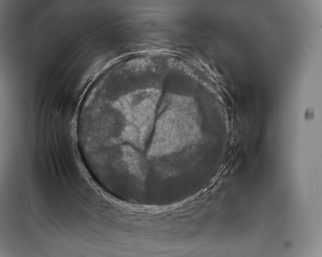 X0000099490002200806121403