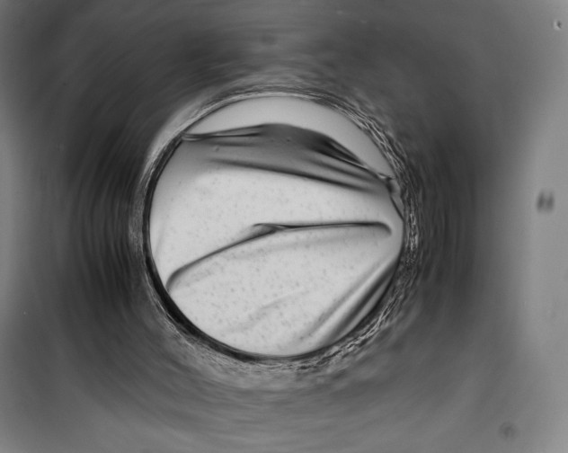 X0000099490004200806121403