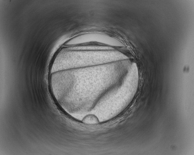 X0000099490006200806121403