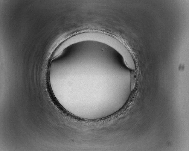 X0000099490007200806121403