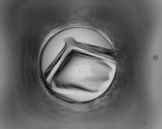 X0000099490008200806121403