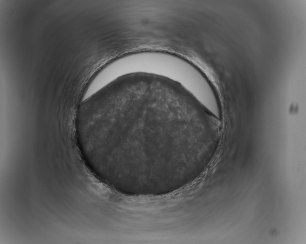 X0000099490009200806121403