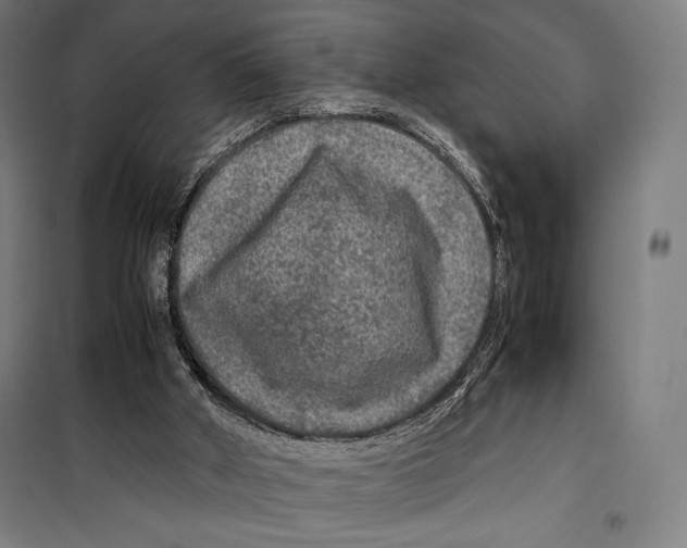 X0000099490010200806121403