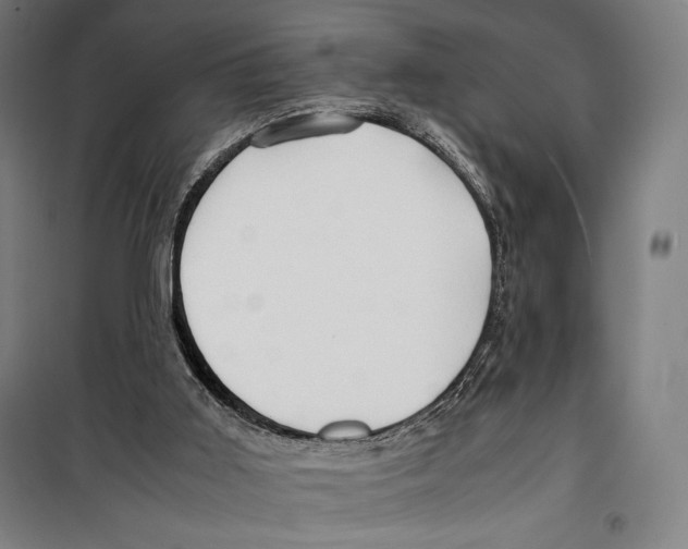 X0000099490011200806121403