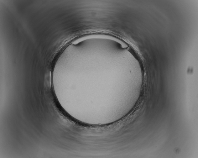 X0000099490013200806121403