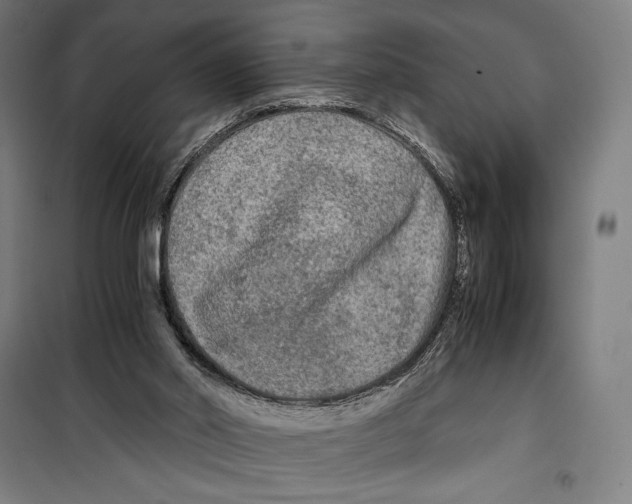 X0000099490014200806121403