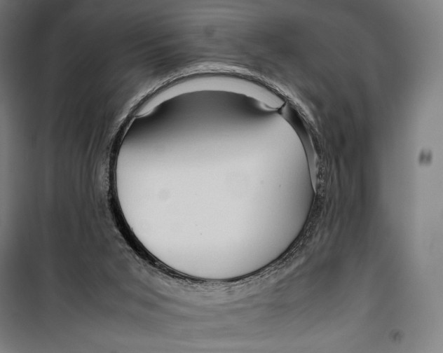 X0000099490015200806121403