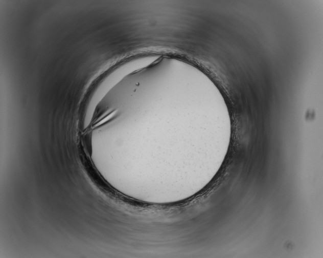 X0000099490016200806121403