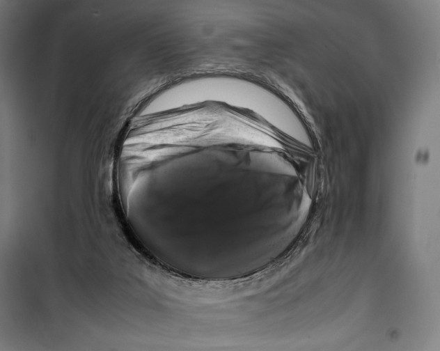 X0000099490019200806121403