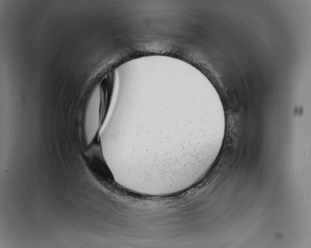 X0000099490020200806121403