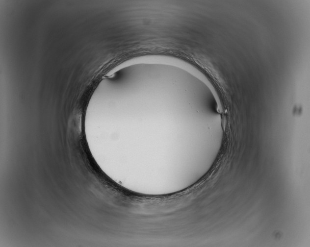 X0000099490021200806121403