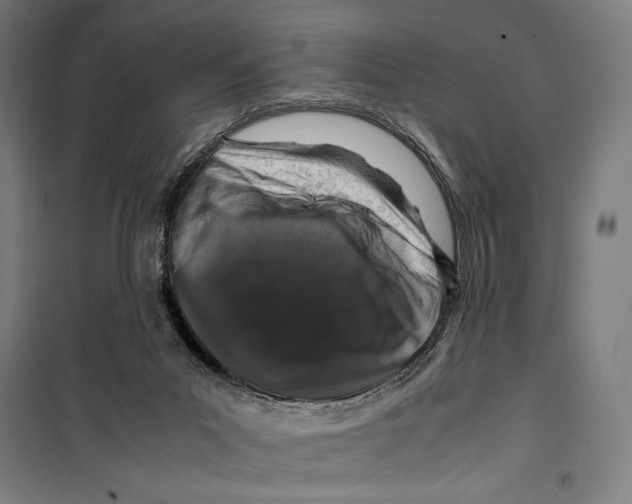 X0000099490023200806121403