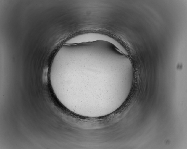 X0000099490024200806121403