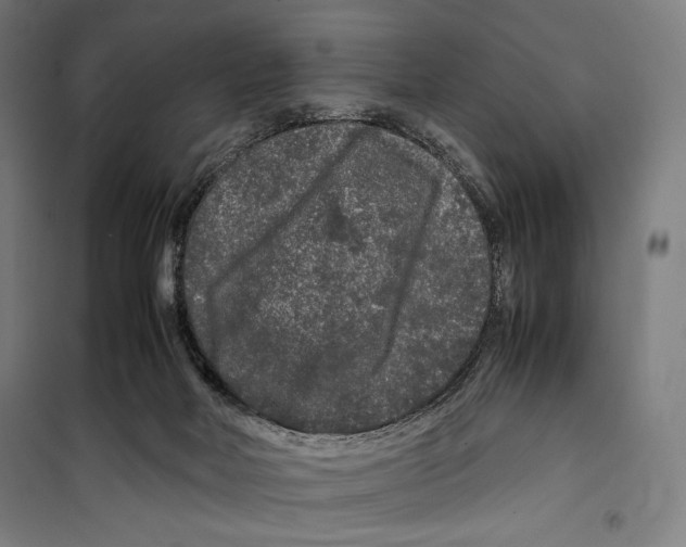 X0000099490026200806121402