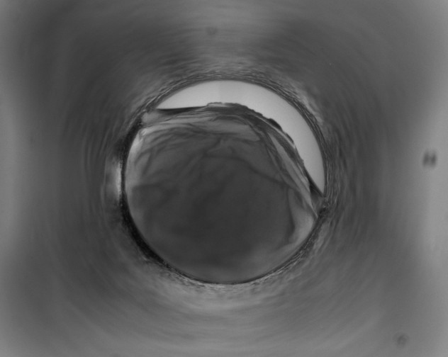 X0000099490027200806121402