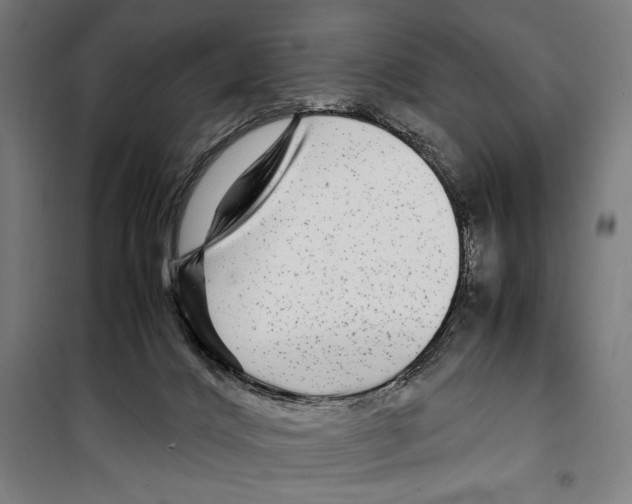 X0000099490028200806121402