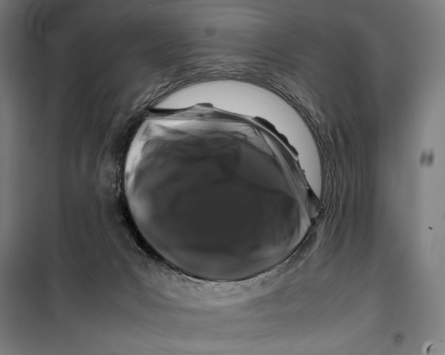 X0000099490031200806121402