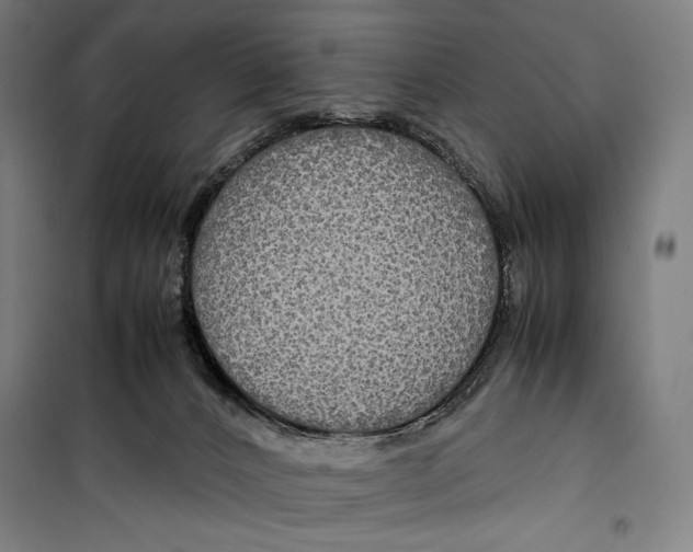 X0000099490032200806121402