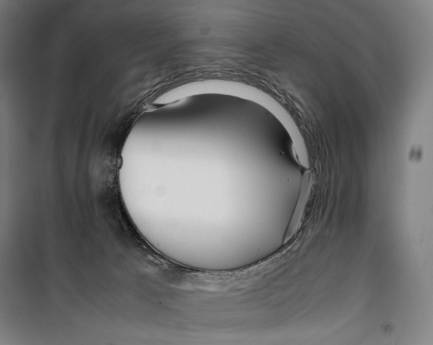 X0000099490033200806121402