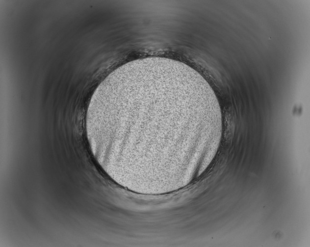 X0000099490034200806121402